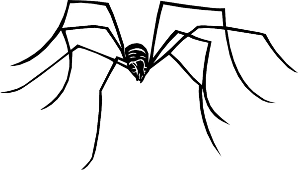 Long Legged Spider vinyl sticker. Customize on line. bugs6718 spider decal