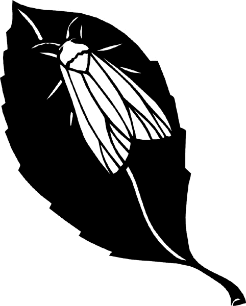 bugs6721 Fly on leaf vinyl decal. Customize on line. 