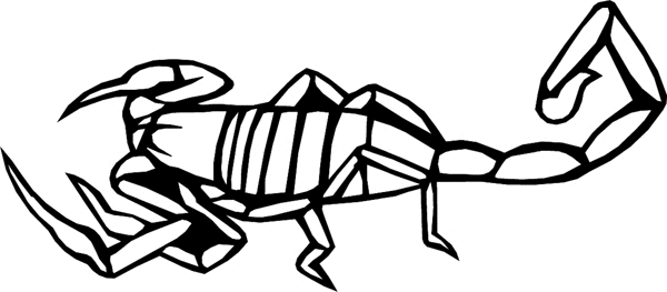 bugs6723 Scorpion graphic decal. Customize on line. 