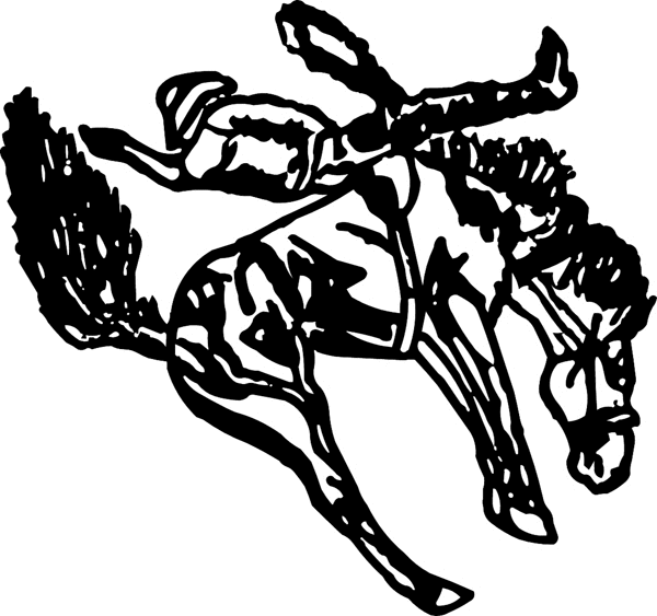 Bronc Busting Action graphic decal. Personalize on line. cowboy_up023 