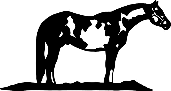 Overo Paint Horse vinyl sticker. Customize on line. cowboy_up078 horse decal