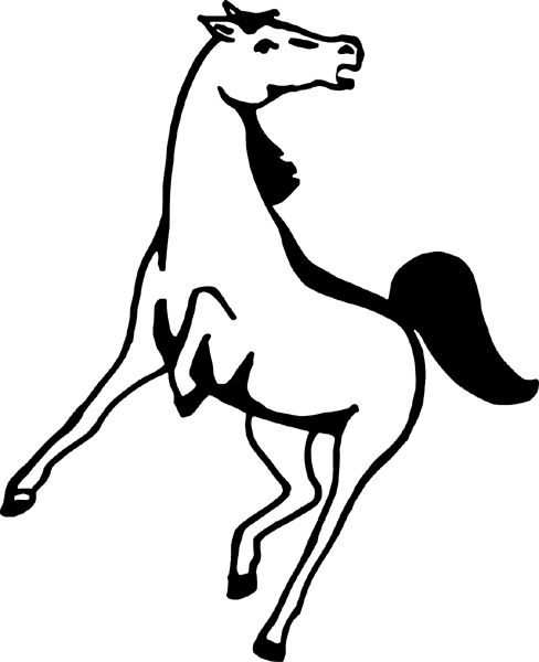 cowboy_up079   Bucking horse vinyl decal. Personalize on line. 