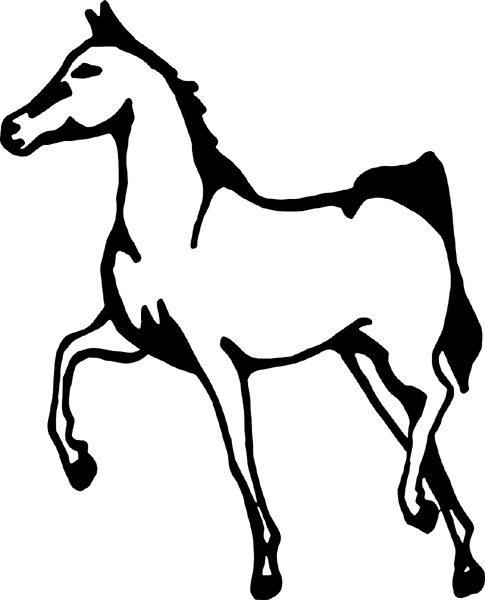 cowboy_up083   Walking horse vinyl graphic decal. Customize on line. 