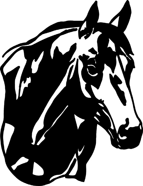 cowboy_up091 Horse Head vinyl decal. Personalize on line. 