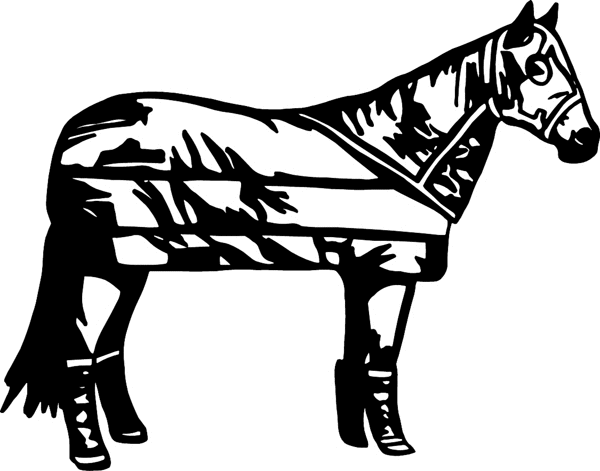 cowboy_up093  Derby horse vinyl decal. Customize on line. 