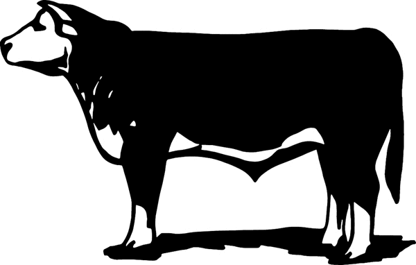 Bull vinyl graphic decal. Customize on line. cowboy_up105 bull decal