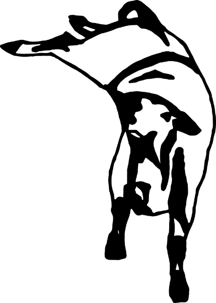 Bucking Bull action graphic decal. Personalize on line. cowboy_up107