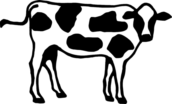 cowboy_up108   Cow vinyl decal. Personalize on line. 
