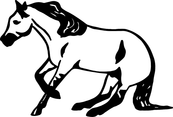 Trick Horse vinyl sticker. Customize on line. cowboy_up114 horse decal