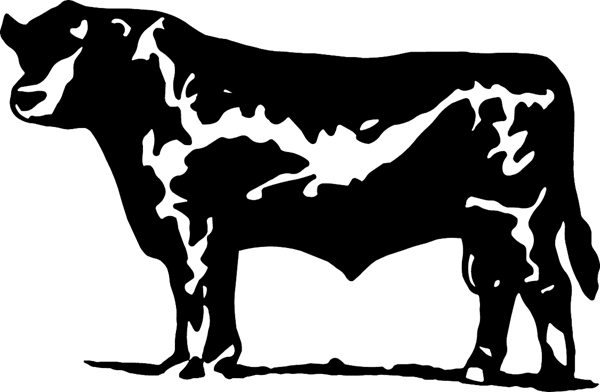 Big Bull vinyl graphic sticker. Customize on line. cowboy_up117 bull