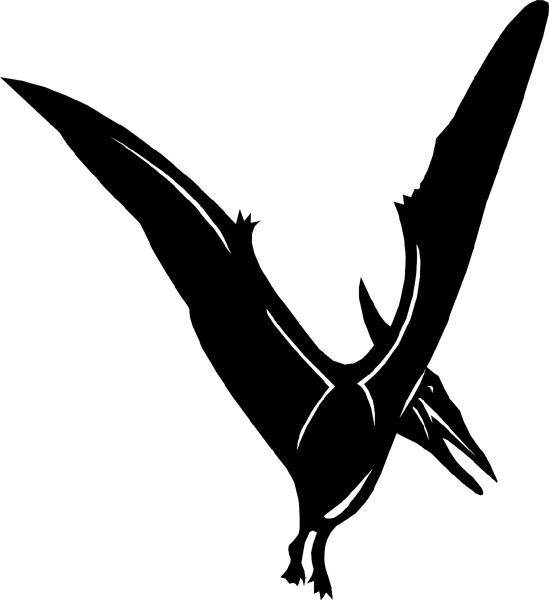 Prehistoric Bird Silhouette graphic vinyl sticker. Customize on line. dinosaur6617