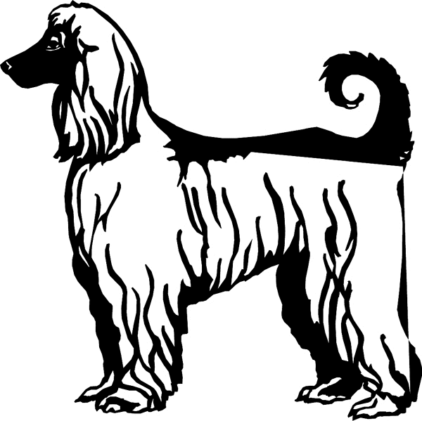 Beautiful Afghan Hound vinyl graphic sticker. Customize on line. dogs7201