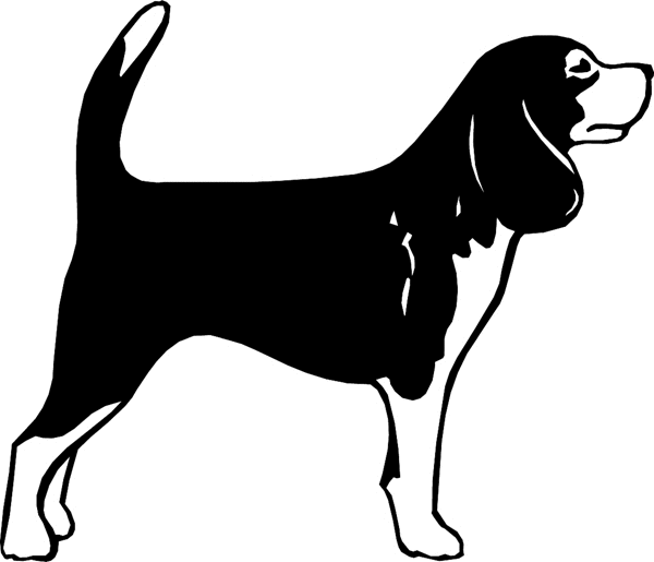 Beagle Dog vinyl sticker. Customize on line. dogs7204 - 