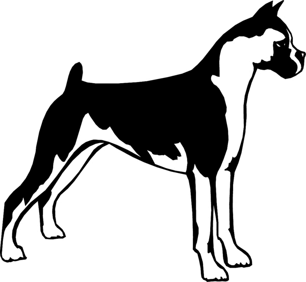 dogs7205 - Boxer dog graphic vinyl decal. Personalize on line. 