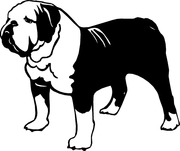 dogs7206 - English Bulldog vinyl decal. Personalize on line. 