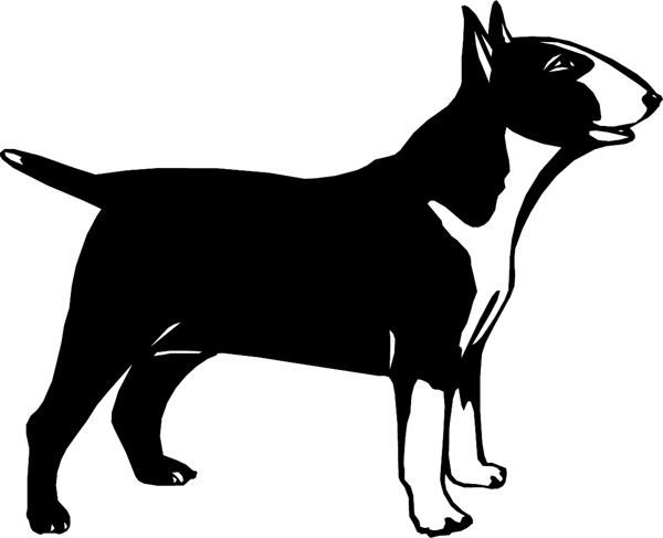 Bull Terrier-type Dog vinyl graphic sticker. Personalize on line. dogs7207
