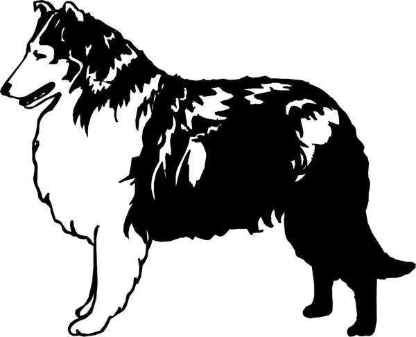 Collie dog graphic sticker. Customize on line. dogs7209 - lassie dog decal