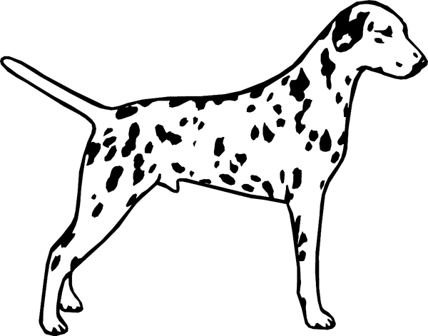 dogs7211 - Dalmation dog graphic decal. Customize on line. 