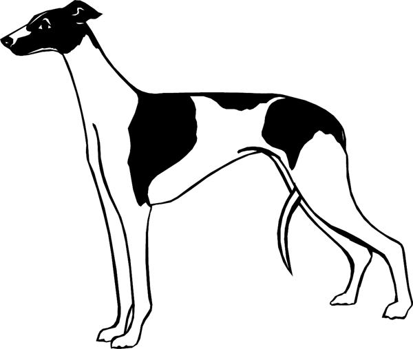 Two-Color Greyhound vinyl sticker. Customize on line. dogs7212 - greyhound dog sticker