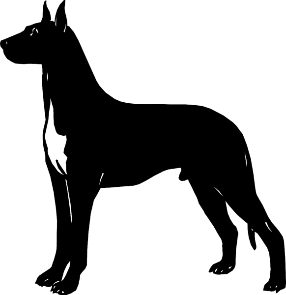 Doberman Pincer Silhouette graphic sticker. Personalize on line. dogs7213 - boxer dog sticker