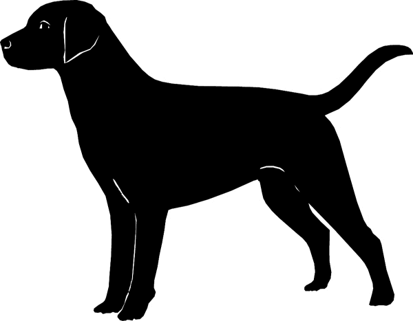 dogs7215 - Labrador Retriever dog silhouette vinyl decal. Customize on line. 