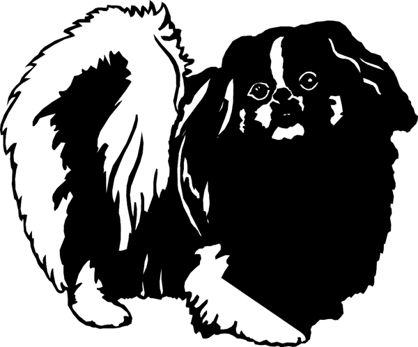 Pretty Pekenese dog vinyl sticker. Customize on line.  dogs7216 - pug nose dog decal