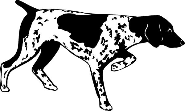 dogs7217 - Pointer bird hunting dog decal. Personalize on line.