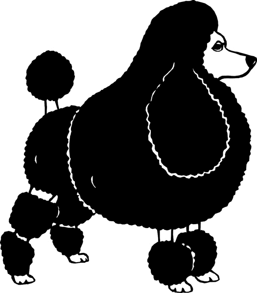 Poofed Poodle vinyl sticker. Customize on line. dogs7219 - 
