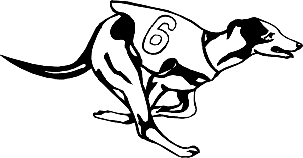 Greyhound racing dog #6 graphic sticker. Customize on line. dogs7220 - greyhound racing dog sticker