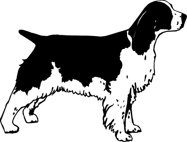 Water Spaniel Dog vinyl sticker. Customize on line. dogs7226