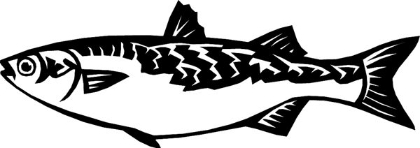 fish6301 - Trout fish vinyl decal Personalize on line. 