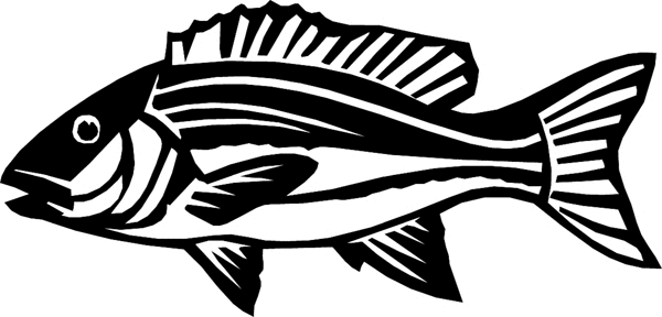 fish6306 - Small mouth bass decal. Personalize on line. 