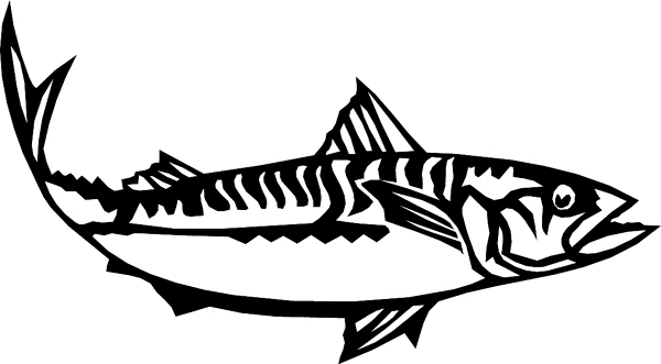 Big Fish graphic sticker. Customize on line. fish6307