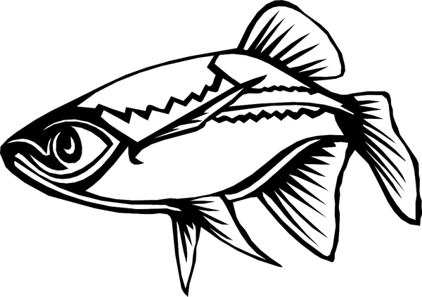 Fish vinyl decal. Personalize on line. fish6319