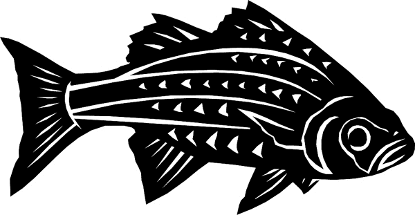 Fish vinyl graphic sticker. Personalize on line. fish6324