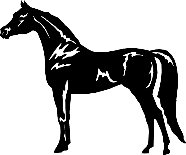 Standing Horse Silhouette vinyl sticker. Customize on line. horses7104