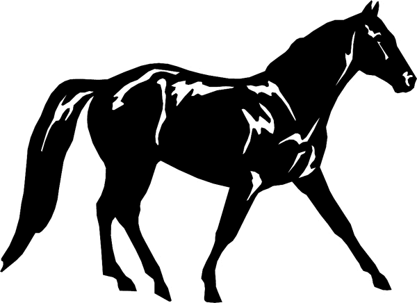 Horse Silhouette graphic sticker. Customize on line. horses7110 horse decal