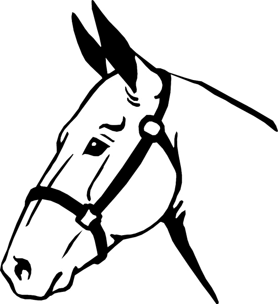 horses7112 -Handsome Horse Head vinyl decal. Personalize on line. 