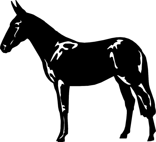 horses7113 - Mule vinyl graphic sticker. Customize on line. 