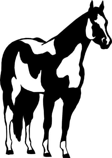 Tobiano Paint Horse graphic sticker. Customize on line. horses7117