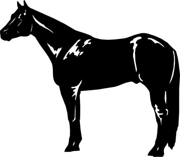Horse Silhouette vinyl decal. Personalize on line. horses7118 - decal