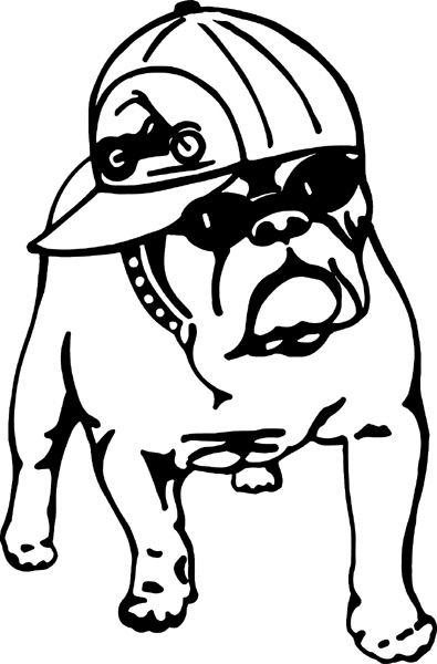 motorcycleM107 - Bulldog with motorcycle cap vinyl decal. Personalize on line. 