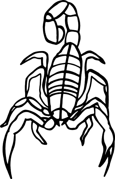 motorcycleM108 - Scorpion vinyl decal. Customize on line. 