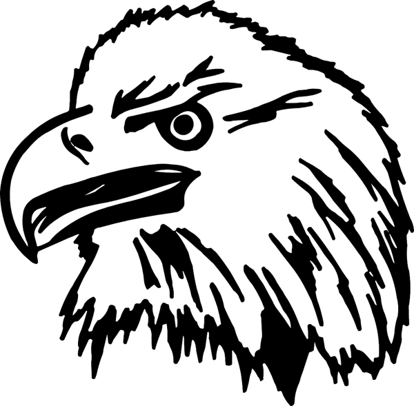 Eagle Head graphic decal. Great Mascot! Personalize on line. motorcycleM113 - 
