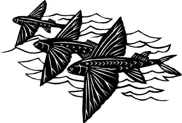 Flying Fish Trio vinyl graphic decal. Customize on line. nauticalflyngfsh