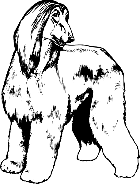 Afghan Hound vinyl sticker. Personalize on line. pets0101 dog decal