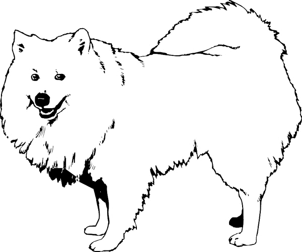 Spitz dog vinyl sticker. Personalize on line. pets0105 - dog sticker