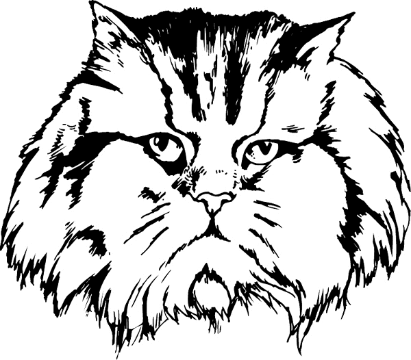 Fluffy Cat Face vinyl decal. Personalize on line. pets0109 - kitty cat decal