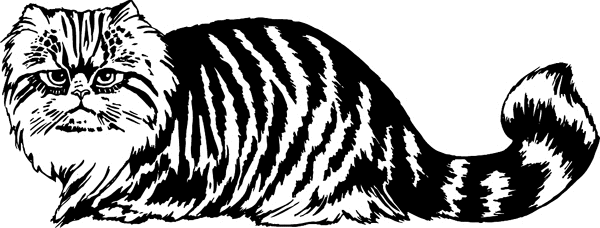 Striped Fluffy Cat graphic decal. Personalize on line. pets0110 - pussy cat sticker