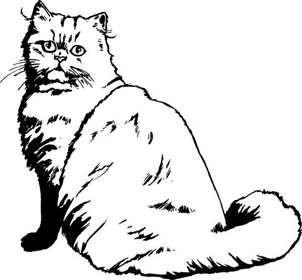 Fluffy Cat vinyl sticker. Customize on line. pets0111 - pussy cat kitten decal